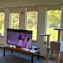 Photo of Acelle's room