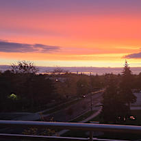 Photo of Sherry maraj's room