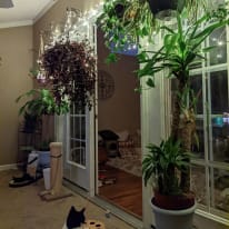 Photo of LeeAnne S's room