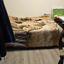 Photo of Bharathy's room