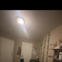 Photo of Alyvia Dodsworth's room