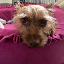 Photo of Claire's room