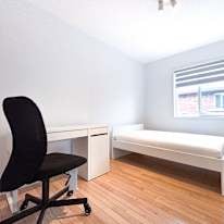 Photo of Rex's room