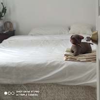 Photo of Orville's room