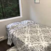 Photo of amine riad's room