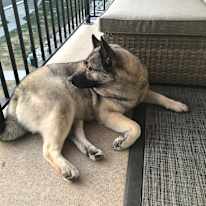 Photo of Brian's room