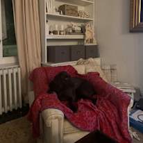 Photo of Tonya Mckone's room