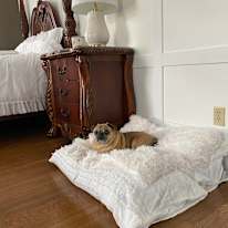 Photo of Ves's room