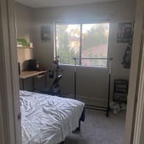 Photo of taylor's room