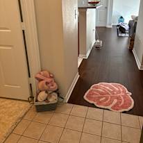 Photo of Kali's room
