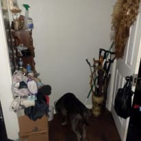 Photo of mimi's room