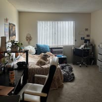 Photo of shelby's room