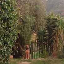 Photo of Louanne's room