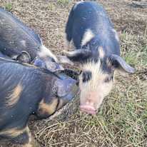 Photo of Peggy's room