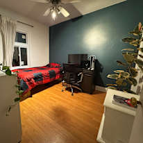 Photo of Daniela's room