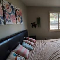 Photo of David's room