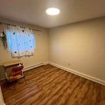 Photo of Frankia's room