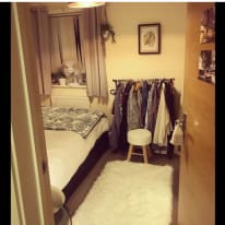 Photo of Cat's room