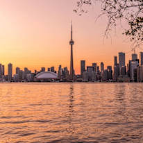 Photo of Prof. Bob's room