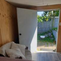 Photo of June's room