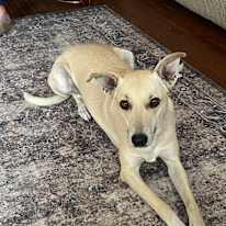 Photo of Rosa's room