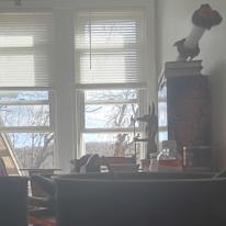Photo of Albie's room