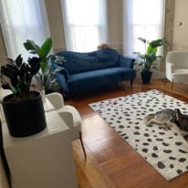 Photo of Neko's room