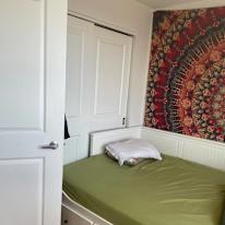 Photo of Negin's room