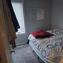 Photo of Dexter's room