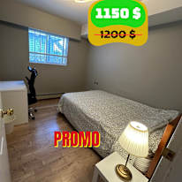 Photo of Shirin's room