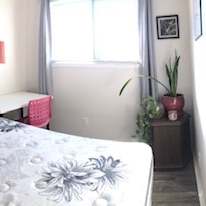 Photo of Cuc's room