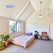 Photo of Gal's room