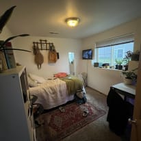 Photo of Sasha's room
