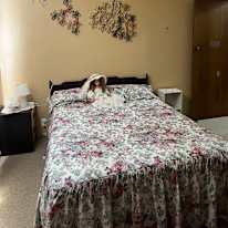 Photo of Alicia's room