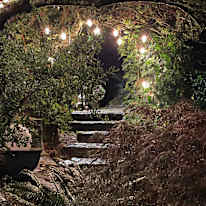 Photo of Laura Darville's room
