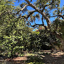 Photo of Crescent Park Available's room