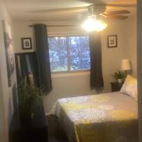 Photo of Shelly's room