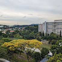Photo of LP Tan's room