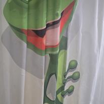 Photo of ozgur sargin's room