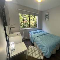 Photo of Ozzy's room