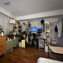 Photo of Alexandra's room