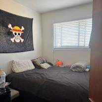 Photo of matthew melo's room