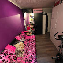 Photo of David's room