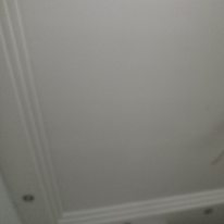 Photo of Tammy's room