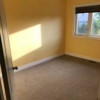 Photo of N’s's room