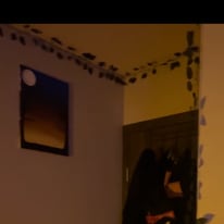 Photo of Danielle Custer's room