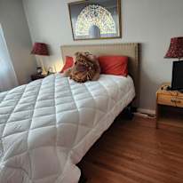 Photo of Earl's room
