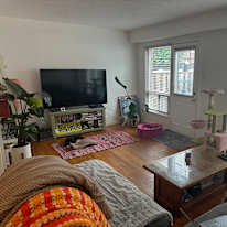 Photo of Lola's room