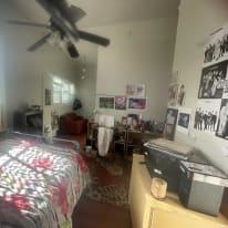 Uptown, New Orleans, LA Rooms for Rent – Roomies.com