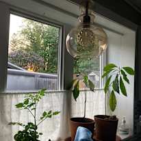 Photo of Sarah's room